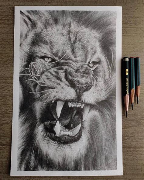 Realistic Drawings Of Lions Roaring