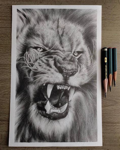 Roaring Lion Pencil Drawing