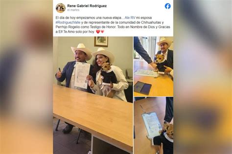 ¡emotivo Perrito Se Vuelve Viral Por Firmar Como Testigo En La Boda De Sus Dueños