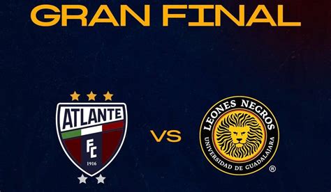 Anuncian D As Y Horarios Para Final Entre Atlante Y Leones Negros