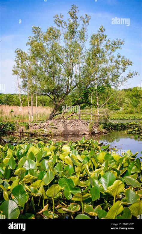 Cuyahoga Valley National Park Stock Photo Alamy