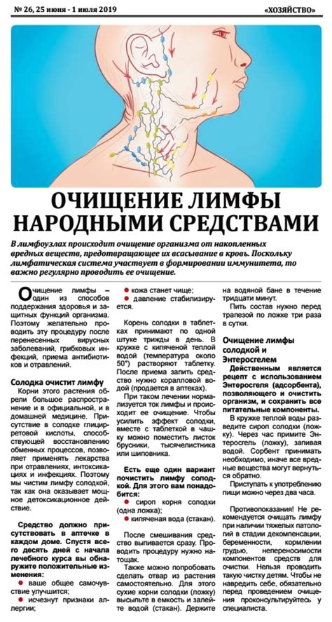 Очищение лимфы народными средствами | Лимфатическая система, Здоровье ...
