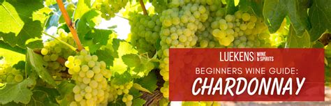 Beginners Wine Guide Chardonnay Luekens Wine And Spirits