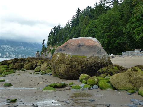 A Stroll Through Vancouvers Geological History Nature Vancouver