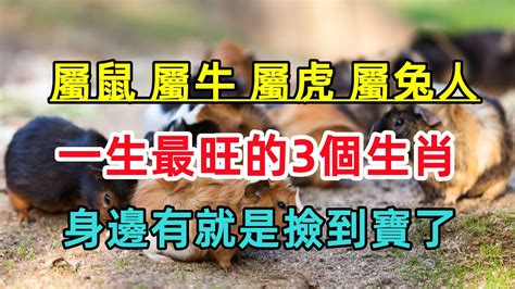 【屬鼠、屬牛、屬虎、屬兔人】一生最旺的3個生肖，相合相生穩固財運，身邊有就是撿到寶了！ Youtube