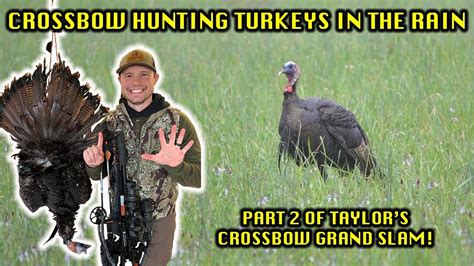 Crossbow Hunting Turkeys Taylors Eastern Crossbow Grand Slam Bird