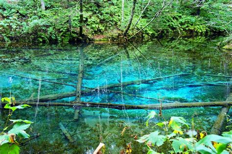 北海道観光におすすめな「至極の絶景」26選。言葉を失うほどの美しさがここに。 Jptrp