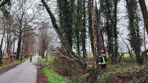 Baum droht auf Straße zu stürzen Feuerwehr Uelsen