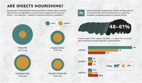 Entomodaily On Twitter Los Insectos Son Nutritivos Los