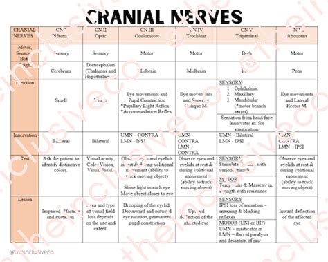 Cranial Nerves Chart