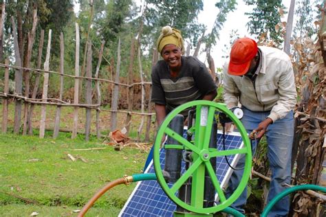 Innovation Entrepreneurship And Inclusion Africas Farmer Led