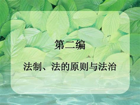 第二编 法制、法的原则与法治word文档在线阅读与下载免费文档