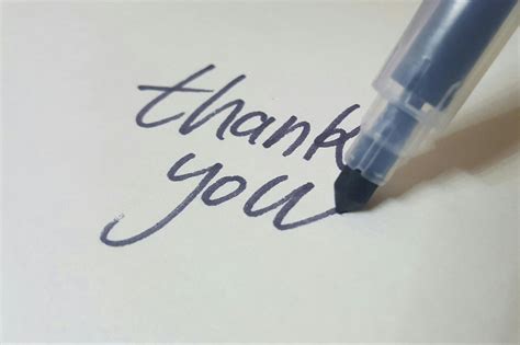 20 Best Thank You Messages And Quotes To Show Customer Appreciation