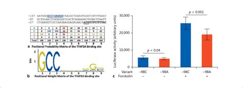 Promoter luciferase assays. a Partial promoter sequence of LGALS13 ... 