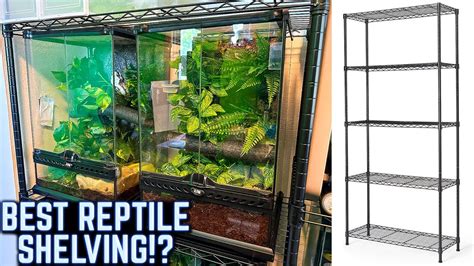 Best Value Shelves For Keeping Reptiles Youtube