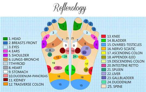 RÉflexologie Plantaire Et Palmaire 7 Techniques Faciles