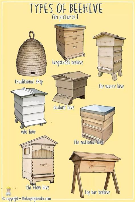 Pin By Jos Sad On Abejas In Bee Keeping Backyard Bee Types Of