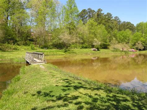 12 Exciting Activities To Check Out In Louisburg Nc Quartzmountain