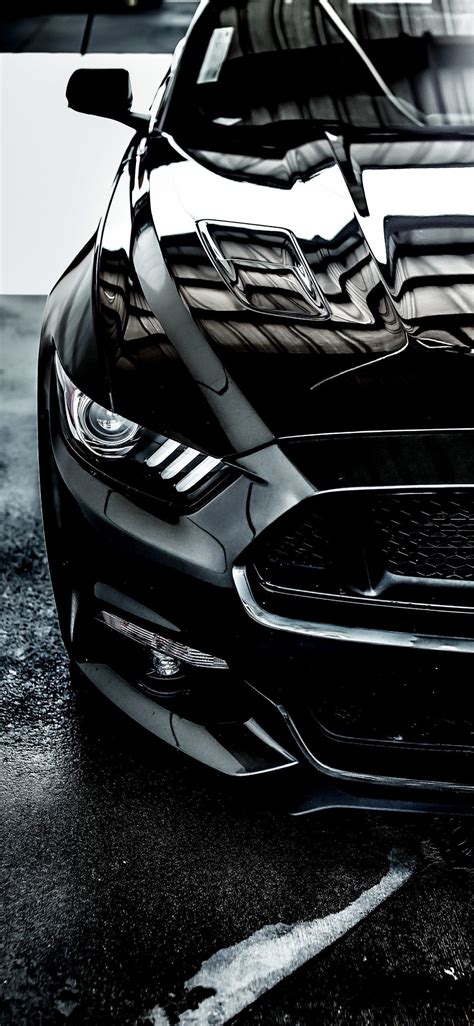 Black Mustang Wallpaper Hd