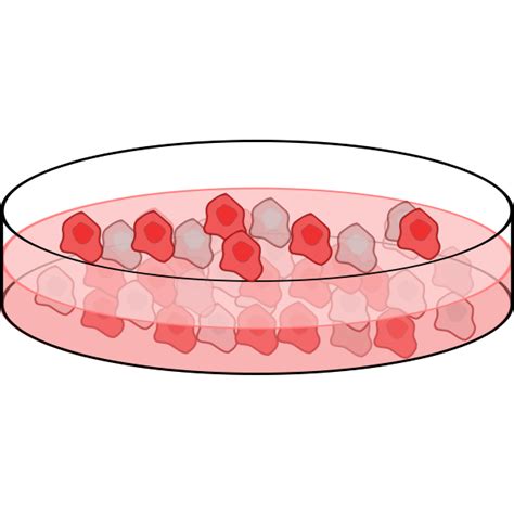 Image of cell culture dish | Free SVG