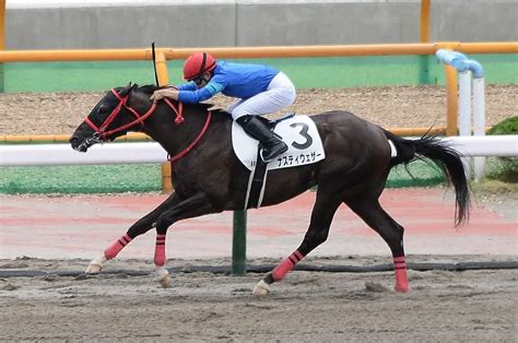 【函館新馬戦】ナスティウェザー圧逃！佐々木「余力があったし距離が延びても大丈夫」― スポニチ Sponichi Annex ギャンブル