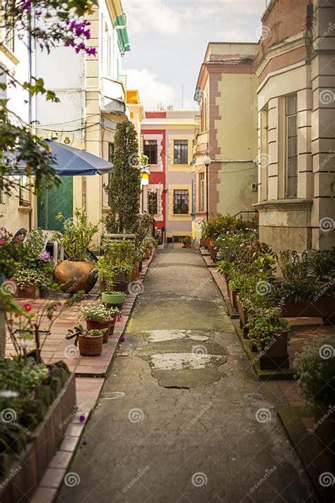 Vertical Shot Of A Walkway Between Buildings And Plants In Bogota
