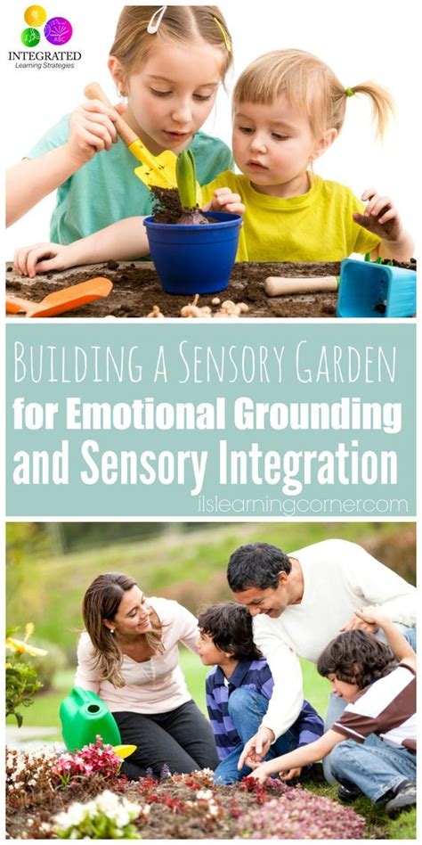 Sensory Garden Why Gardening Helps Emotional Grounding And Sensory Integration Integrated