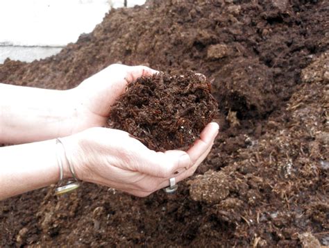 Mushroom Compost For Sale In Uk 40 Used Mushroom Composts