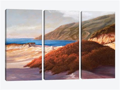 Coastal Dunes Canvas Wall Art By Tom Mielko Icanvas