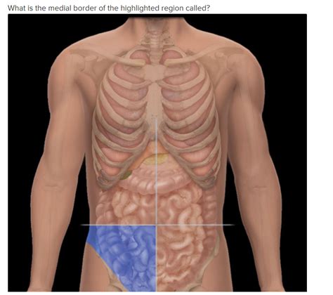 [Solved] umbilital plane Midsagittal plane Subcostal Plan Coronal Plane ...