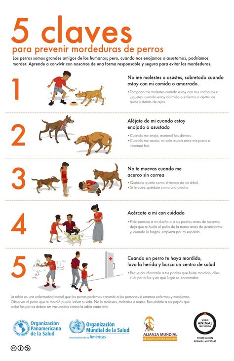 5 claves para la prevención de mordeduras by World Animal Protection