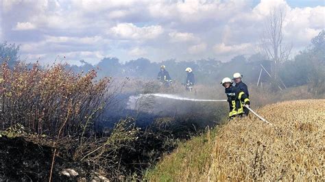 Wiese In Flammen Feuerwehr R Ckt Im Kyffh Userkreis Aus