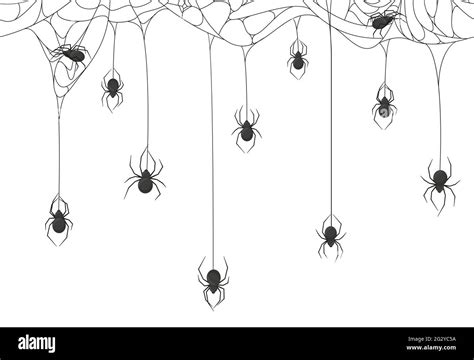 Halloween spiders background. Black spiders on spooky halloween hanging cobweb vector background ...