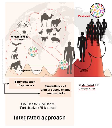 The keys to preventing future pandemics 