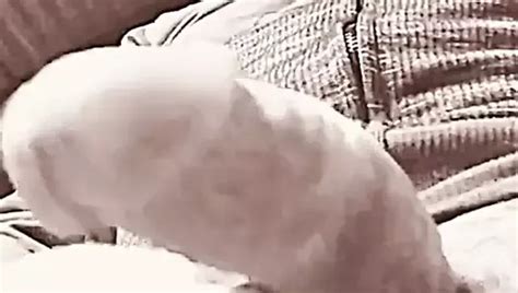 Secuencia De Fotos De Leo Free Gay Hunk Porn D Xhamster