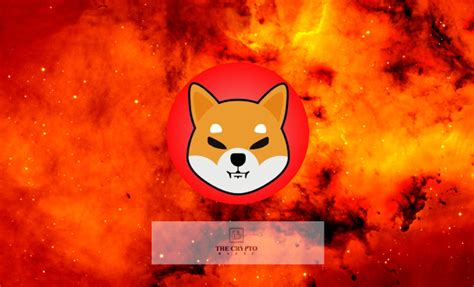 111 Trillion Shiba Inu Token Burns Per Year Achievable In Upcoming Shib