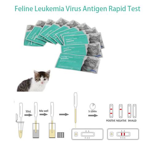 Feline Leukemia Virus Felivet Felv Antigen Rapid Test China Rapid