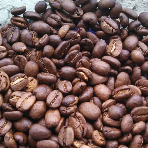 Queen Bean - CoffeeKen