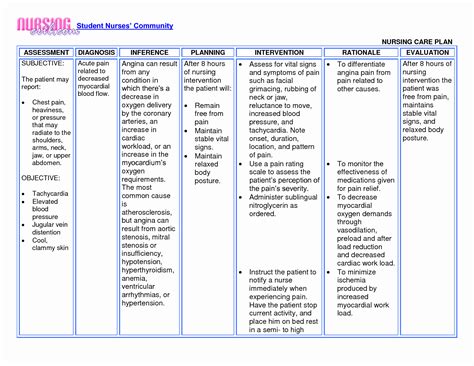 30 Nursing Care Plan Example Document Template