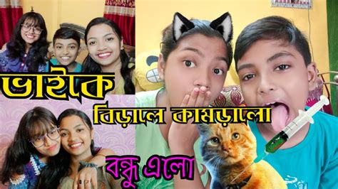 ভাইকে বিড়ালে আঁচড় দিলো😭 Funny Video র শুটিং করলাম আজ বাড়িতে কে এলো 🤔 Youtube