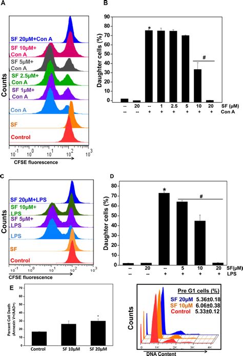 Sf Inhibited Mitogen Induced Proliferation Of Lymphocytes Cfse