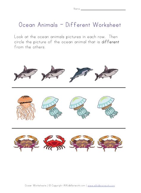 Ocean Animals Worksheets