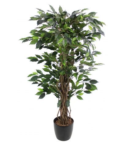 Ficus Benjamina Artificiel Ficus Artificiels Artiplantes