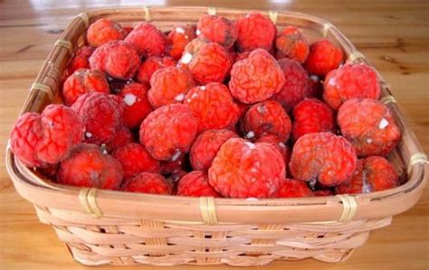 Клубничное дерево: фото и описание, посадка и уход