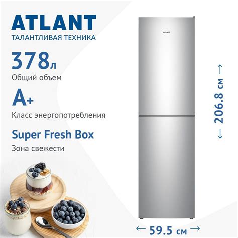 ATLANT Холодильник ХМ 4625-181 серебристый, серебристый купить на OZON ...