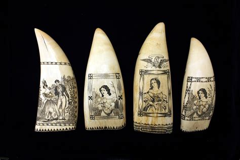 Scrimshaw Art - New Bedford Whaling Museum