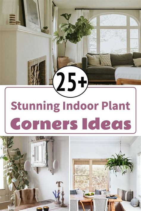 Stunning Indoor Plant Corner Ideas Living Room Plants Indoor