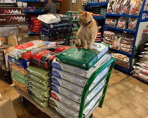 We Have The Best Selection Mikes Feed And Pets