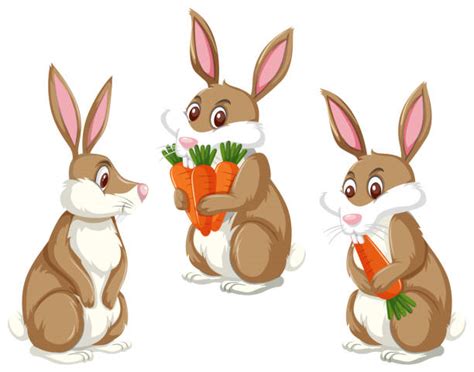 Bunnies Eating Carrots Illustrations, Royalty-Free Vector Graphics ...