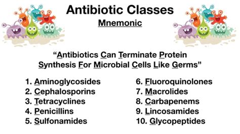 Pharm Antibacterials And Antifungals Flashcards Quizlet